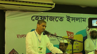 দেশে পরামর্শকের দায়িত্ব পালন করছে হেফাজতে ইসলাম : এ্যানি