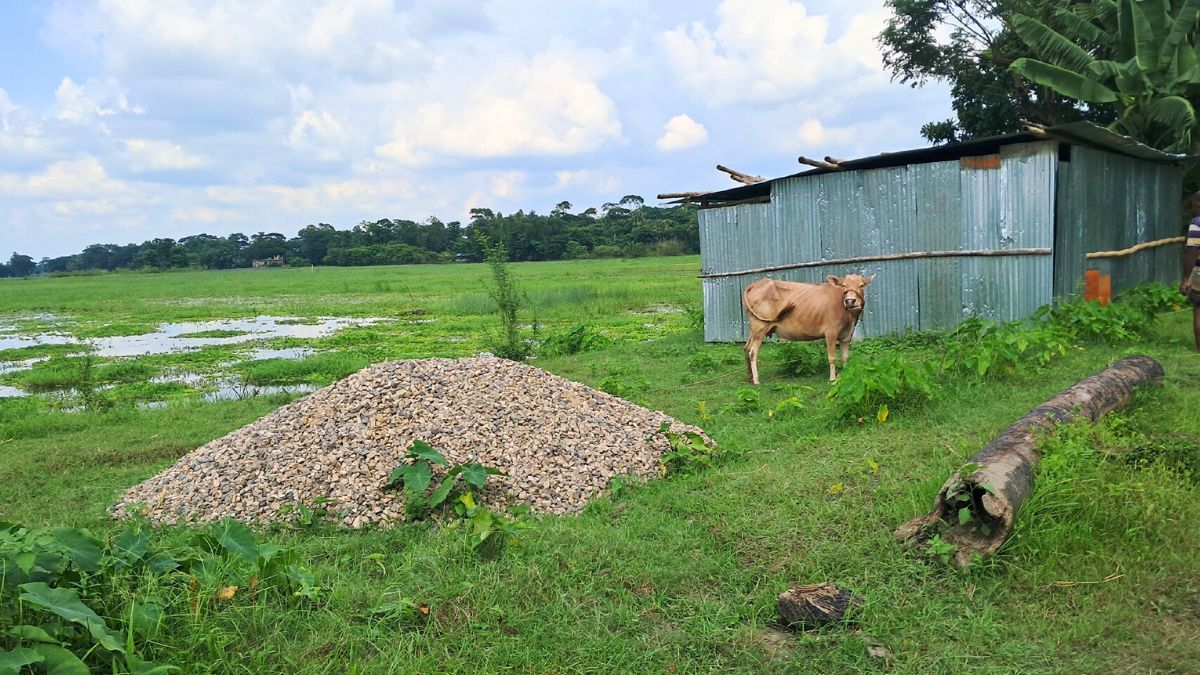 চাঁদপুরে কালভার্ট নির্মাণ না করেই অর্ধকোটি টাকা লোপাট