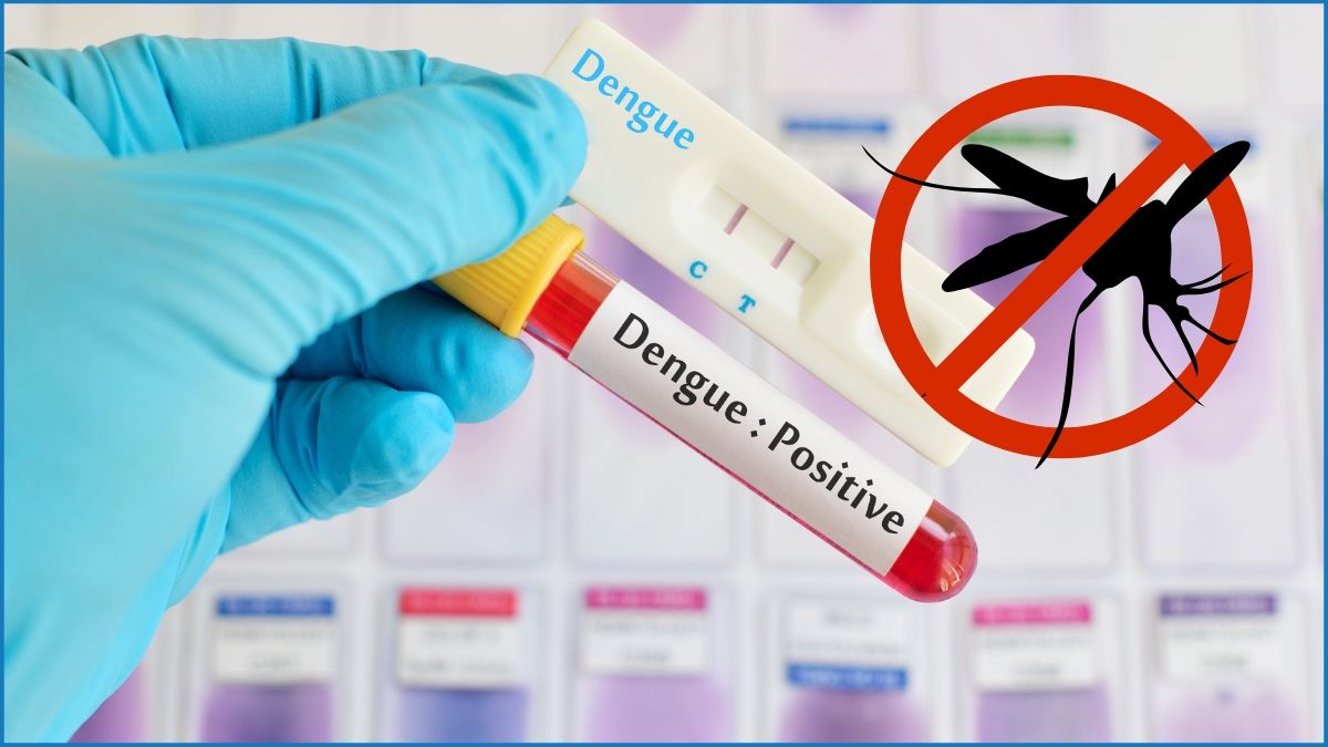 ডেঙ্গুতে আক্রান্ত ও মৃত্যু বাড়ছে, চিকিৎসা ব্যয়ে দিশেহারা মানুষ