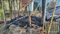 ধুনটে গোয়ালঘরে অগ্নিকাণ্ড, দুই গাভীসহ ৩ গরু পুড়ে ছাই