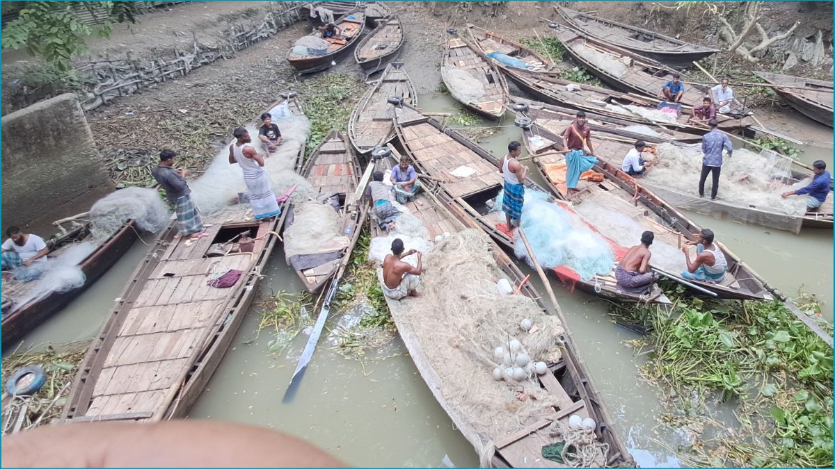 নিষেধাজ্ঞা শেষে চাঁদপুরের পদ্মা-মেঘনায় ইলিশ ধরার প্রস্তুতি