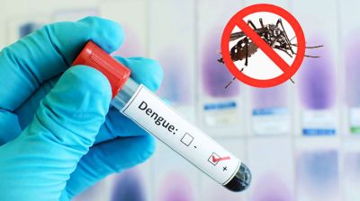ডেঙ্গুতে একদিনে ৬ মৃত্যু, হাসপাতালে ৯৮৩