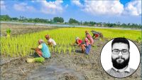 চরাঞ্চলের কৃষক সুবিধা থেকে বঞ্চিত