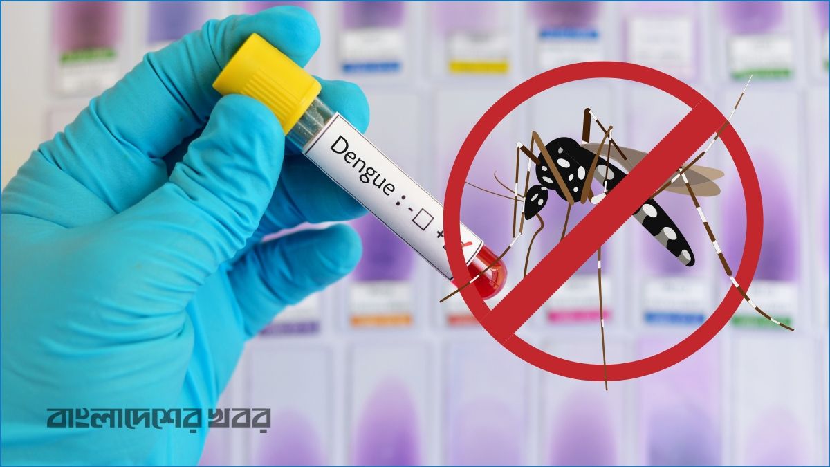 ডেঙ্গুতে ২৪ ঘণ্টায় ১০ জনের মৃত্যু