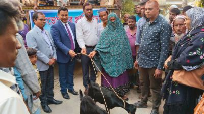 আলফাডাঙ্গায় দরিদ্র পরিবারের মধ্যে ১৮৪টি ছাগল বিতরণ