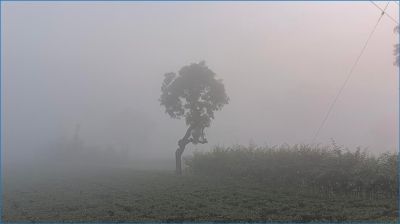 পঞ্চগড়ে ১২ ডিগ্রিতে নামল তাপমাত্রা