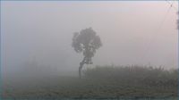 পঞ্চগড়ে ১২ ডিগ্রিতে নামল তাপমাত্রা
