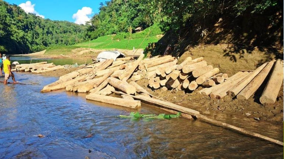 বান্দরবানে পারমিটের আড়ালে চলছে ‘কাঠ পাচার’