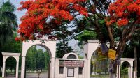 ইবির কলা অনুষদে ৩০টি আসন বৃদ্ধি