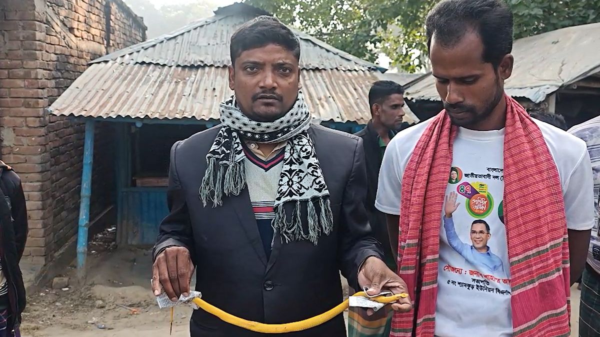 ঝিনাইদহে বিরল অ্যালবিনো গোখরা উদ্ধার