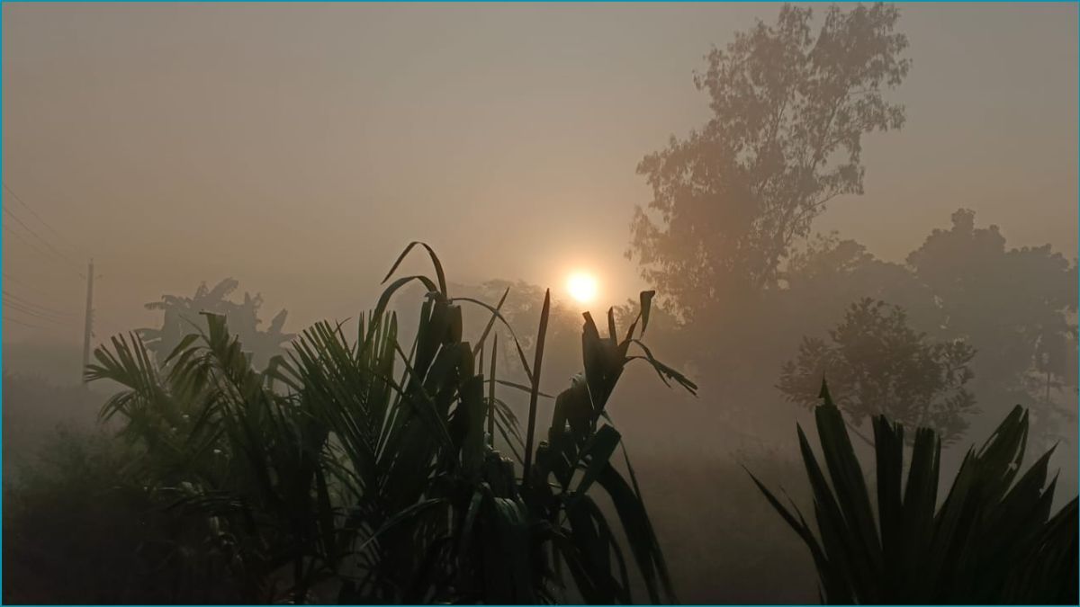 উত্তরে শীতের প্রকট বাড়ছে, তাপমাত্রা নামল ১২ ডিগ্রিতে