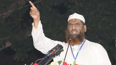 ২৫ শতাংশ লভ্যাংশ চাই না; ১০ শতাংশের মালিকানা চাই : মামুনুল হক