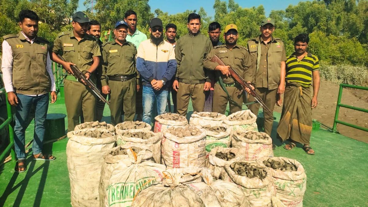 শ্যামনগরে অভিযানে ৮৬০ কেজি শামুক জব্দ