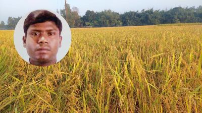 শ্রীবরদীতে মৎস্যজীবী লীগ নেতার বিরুদ্ধে কৃষকের ধান কাটতে বাধা দেওয়ার অভিযোগ