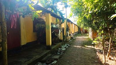 নয়াপাড়া আশ্রয়ণ প্রকল্প : ‘ঘর আছে, মানুষ নেই’