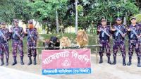 পঞ্চগড় সীমান্তে ৪ লাখ টাকার ভারতীয় গরু জব্দ