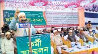 একটা দল আওয়ামী স্টাইলে ক্ষমতায় যাওয়ার স্বপ্ন দেখছে : রফিকুল ইসলাম খান
