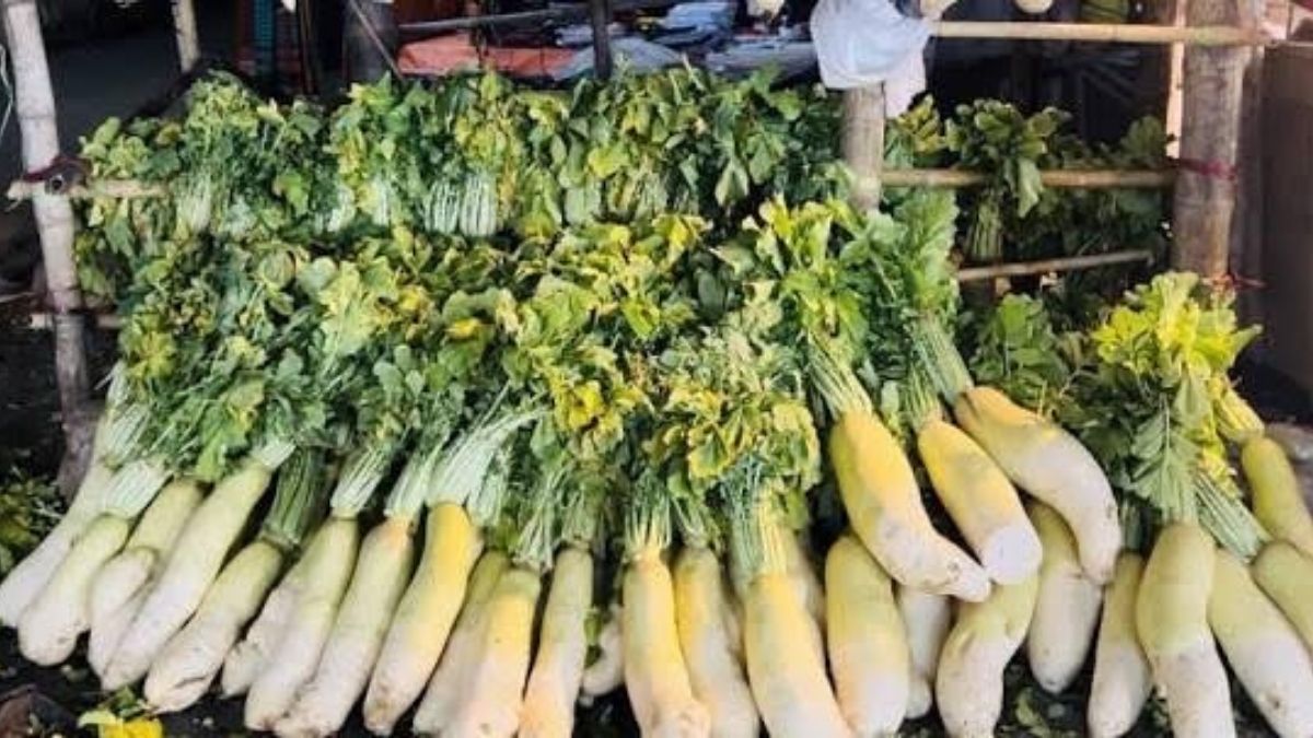 মসজিদের সামনে থেকে সাড়ে ৫০০ কেজি মুলা চুরি