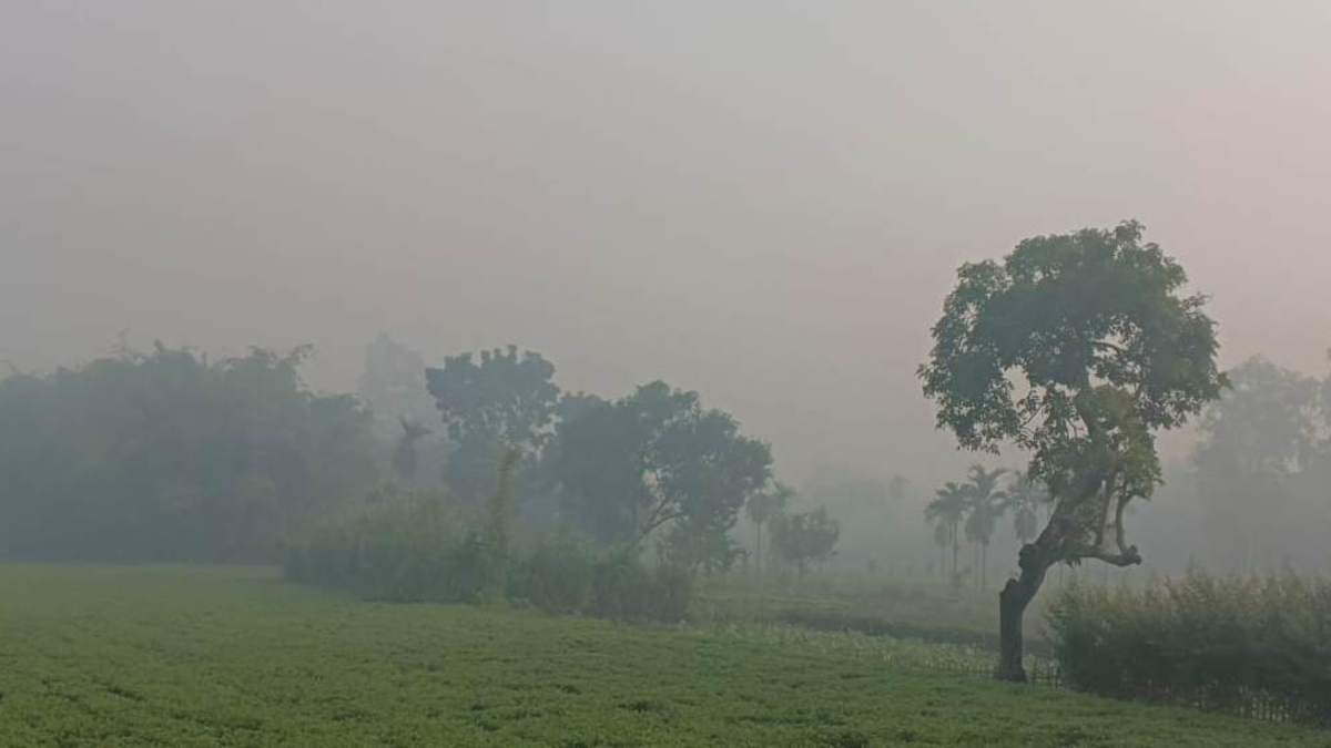 পঞ্চগড়ে তাপমাত্রা নেমে ১১.৭ ডিগ্রিতে