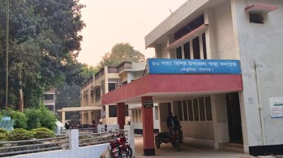 তেঁতুলিয়ায় ভয়াবহ সড়ক দুর্ঘটনায় শিশু নিহত