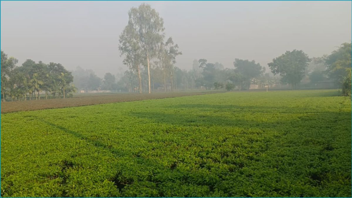 হাড় কাঁপানো শীত পঞ্চগড়ে, তাপমাত্রা ১০ ডিগ্রির ঘরে