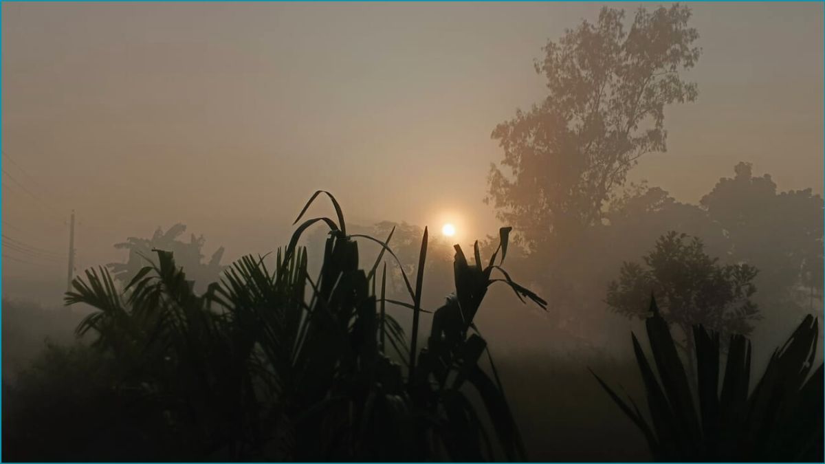 পৌষের হাড়কাঁপানো শীত শেষ অগ্রহায়নে