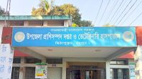 মিঠাপুকুরে রহস্যজনক কারণে ২০টি গরুর মৃত্যু, আতঙ্কে খামারিরা