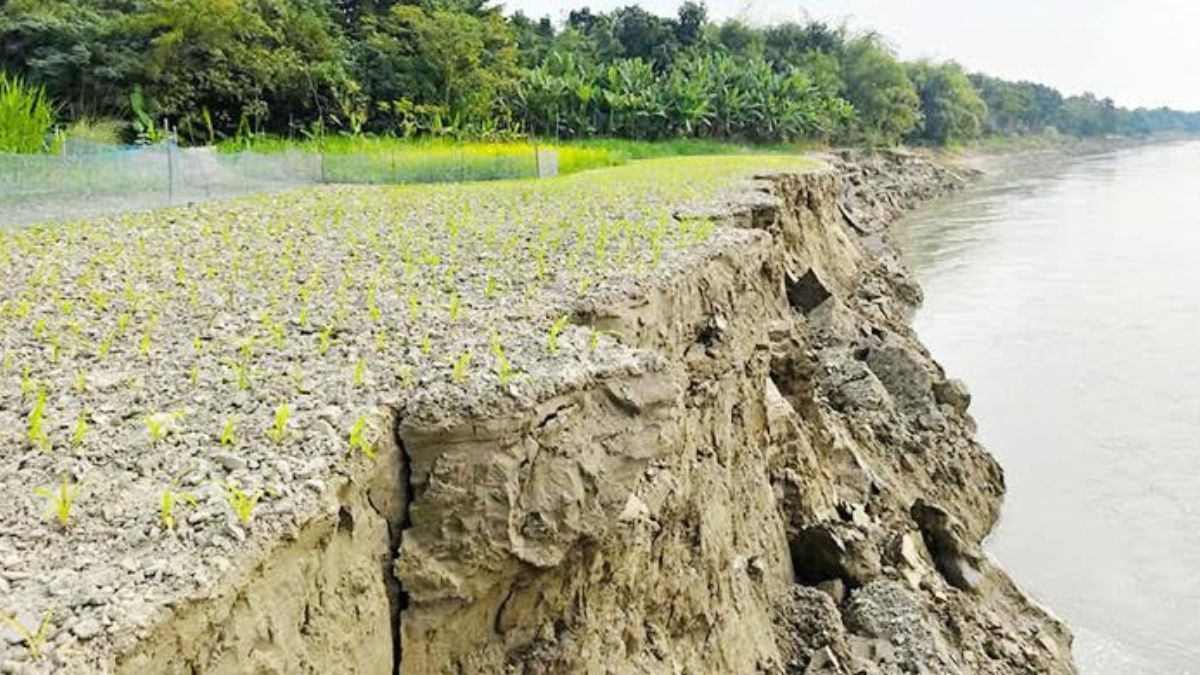 গড়াই নদীর ভাঙনে আতঙ্কে কুমারখালী, নদীগর্ভে বিলীন ফসলি জমি