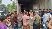 শ্রীপুরে অবৈধ মৎস্য ফিড কারখানায় অভিযান, জরিমানা ও কার্যক্রম বন্ধ
