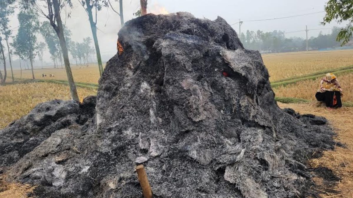 শেরপুরে পৃথক স্থানে খড়ের পালায় আগুন, পুড়ে ছাই ৩৭ বিঘা জমির খড়