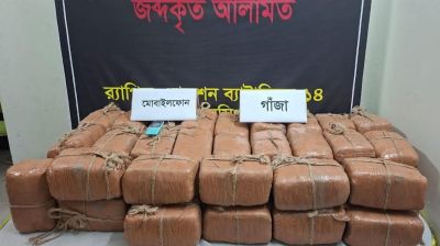 ভালুকায় ৯৬ কেজি গাঁজাসহ মাদককারবারি গ্রেপ্তার
