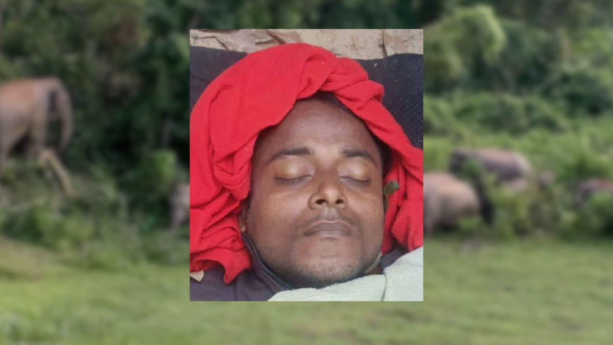 নাইক্ষ্যংছড়িতে বন্য হাতির আক্রমণে টিউবওয়েল মিস্ত্রির মৃত্যু