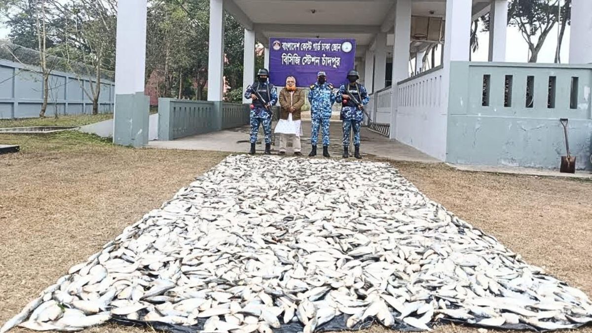 চাঁদপুরে পিকআপ ভ্যান থেকে ৩৭মণ জাটকা জব্দ