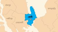 পোস্টাল ব্যালটে ভোট দিবেন ফেনীর ৪০ হাজার প্রবাসী