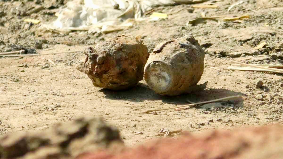 ঝিনাইদহে মাটি খুঁড়তে গিয়ে মিলল অবিস্ফোরিত ২ গ্রেনেড