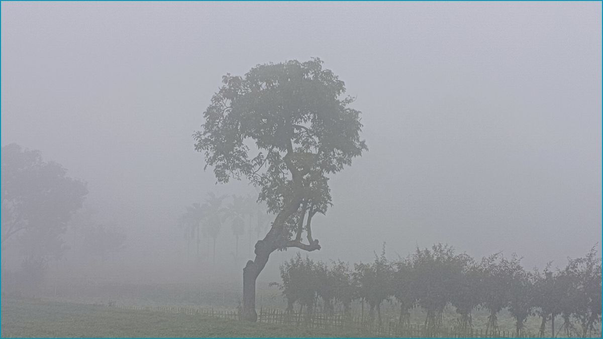 টানা শৈত্যপ্রবাহে পঞ্চগড়ে জনজীবন স্থবির