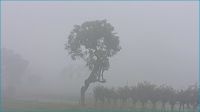 টানা শৈত্যপ্রবাহে পঞ্চগড়ে জনজীবন স্থবির