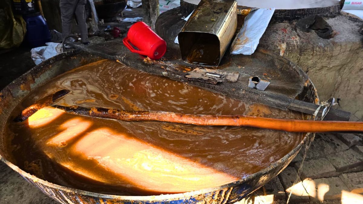 মিঠাপুকুরে ভেজাল গুড় তৈরির কারখানায় অভিযান, মালিক আটক