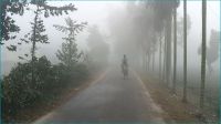 শৈত্যপ্রবাহ অব্যাহত, হাড়কাঁপানো ঠান্ডা পঞ্চগড়ে