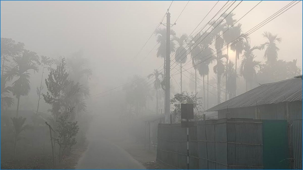 পঞ্চগড়ে টানা ৯ দিন শৈত্যপ্রবাহ, তাপমাত্রা ৮ ডিগ্রি