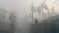 পঞ্চগড়ে টানা ৯ দিন শৈত্যপ্রবাহ, তাপমাত্রা ৮ ডিগ্রি