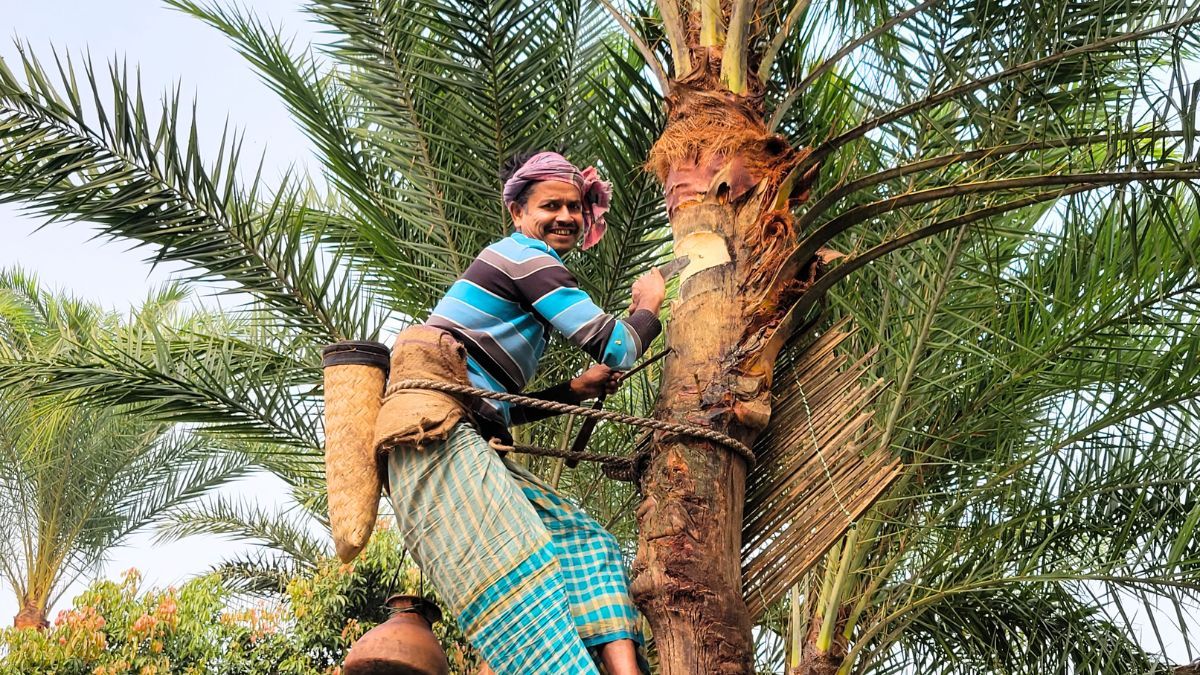 রসের ঘ্রাণে মাতোয়ারা সোনারগাঁ