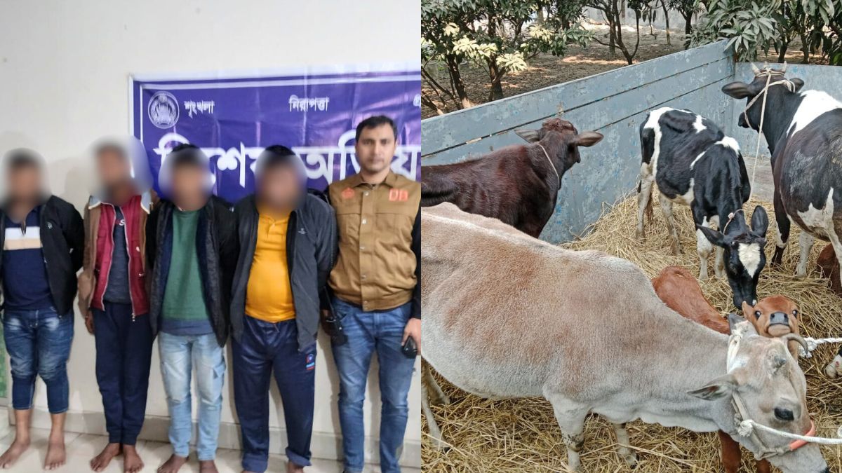 আশুলিয়ায় ডাকাত সন্দেহে গ্রেপ্তার ৪, গরু-ট্রাক জব্দ