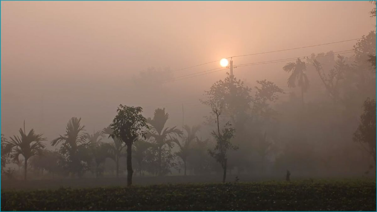 টানা ১৩ দিন ধরে শৈত্যপ্রবাহ বইছে পঞ্চগড়ে