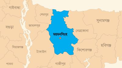 ভালুকায় সিএনজি অটোরিকশার ধাক্কায় কৃষক নিহত