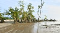 পর্যটনে নতুন সম্ভাবনা তারুয়া দ্বীপ