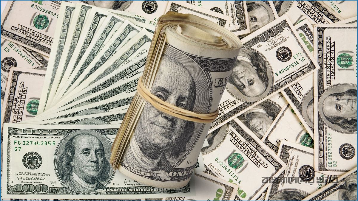 নতুন বছরের প্রথম ২৫ দিনে রেমিট্যান্স এল ২৬২ কোটি ডলার