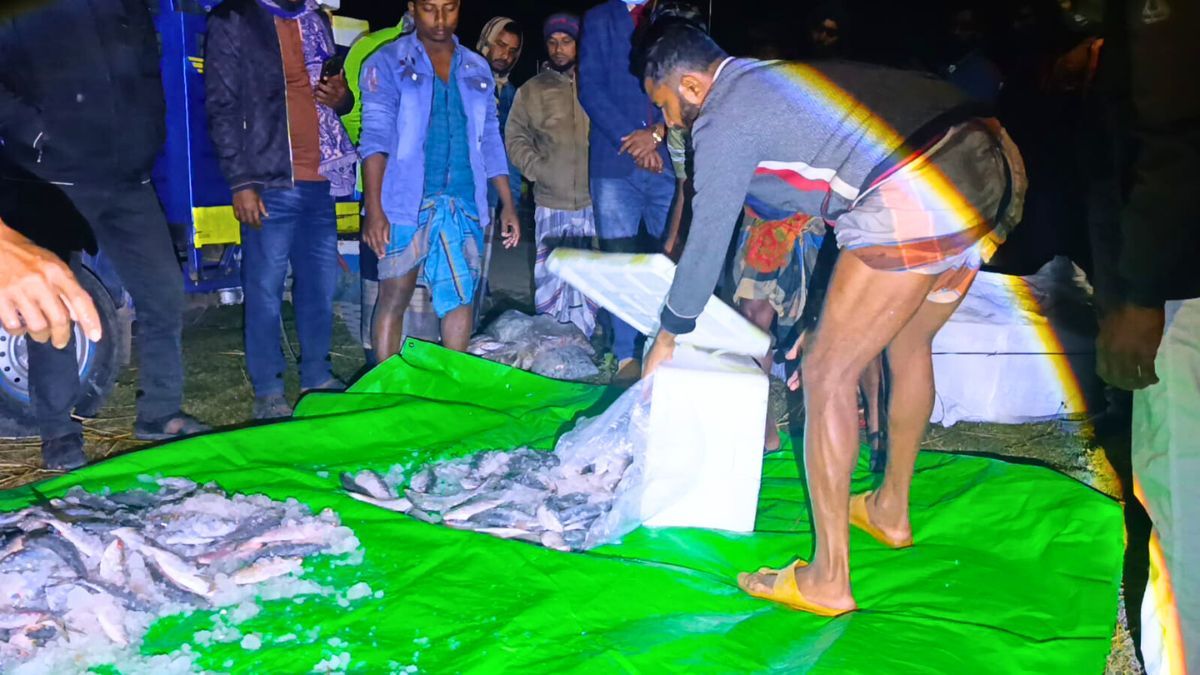 তালতলীতে জব্দ জাটকা এতিমখানায় বিতরণ