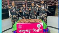 নওগাঁ সীমান্তে ২১ লাখ টাকার মাদক উদ্ধার