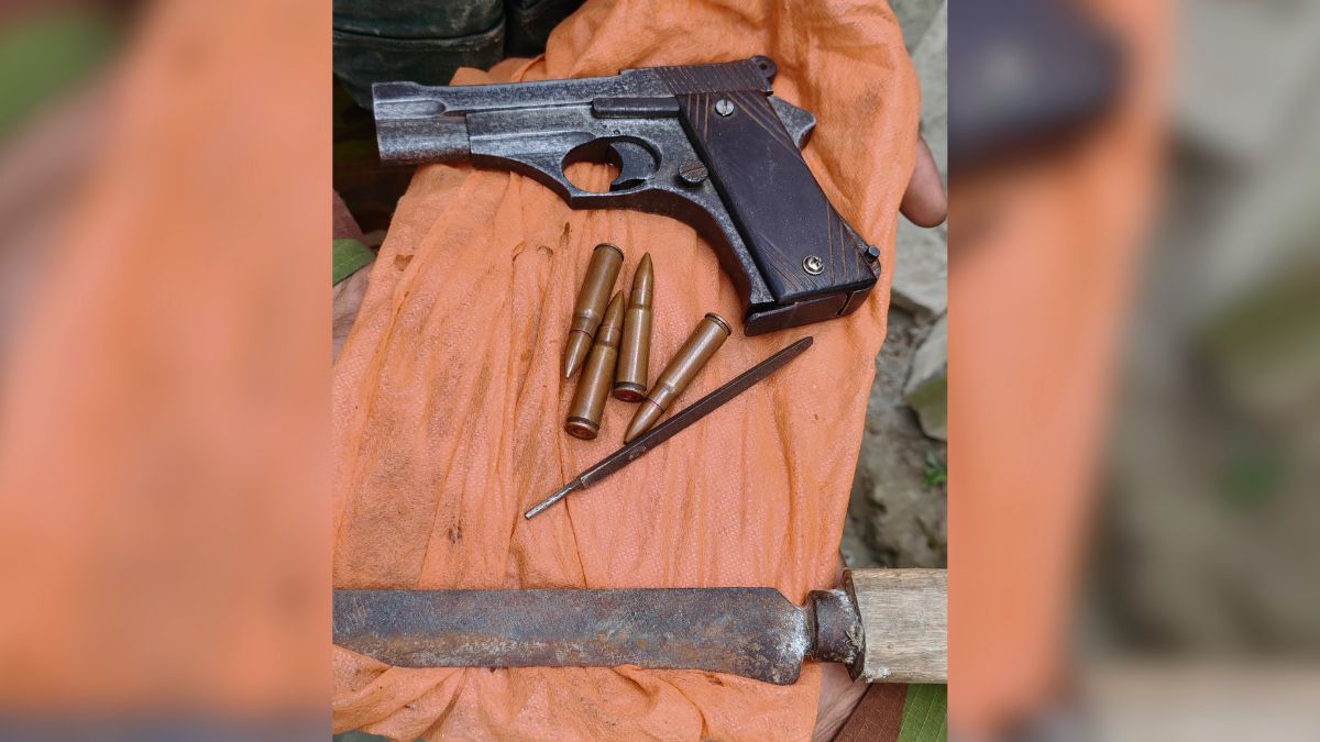 যুবদল নেতার গরুর খামার থেকে বিদেশি পিস্তল উদ্ধার